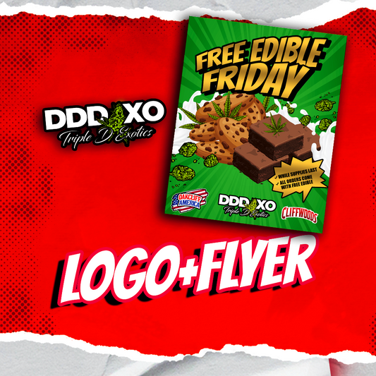 Logo + Flyer
